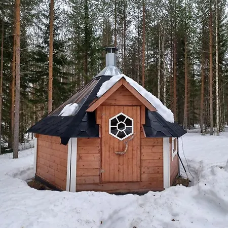 Jamali Cabin Lieksa